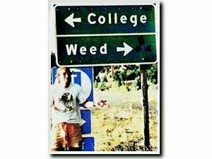 college_weed